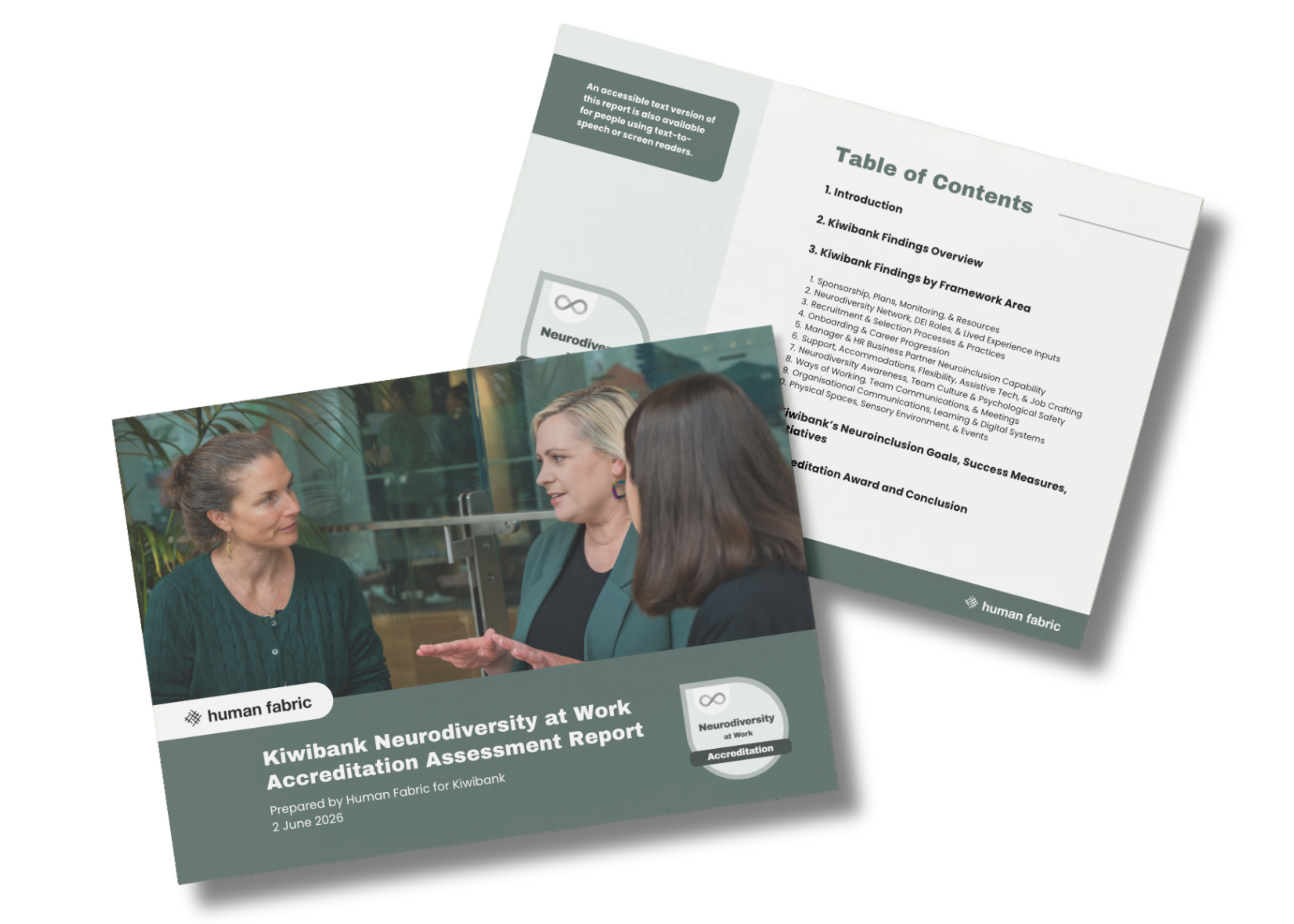 The Neurodiversity at Work Assessment Report