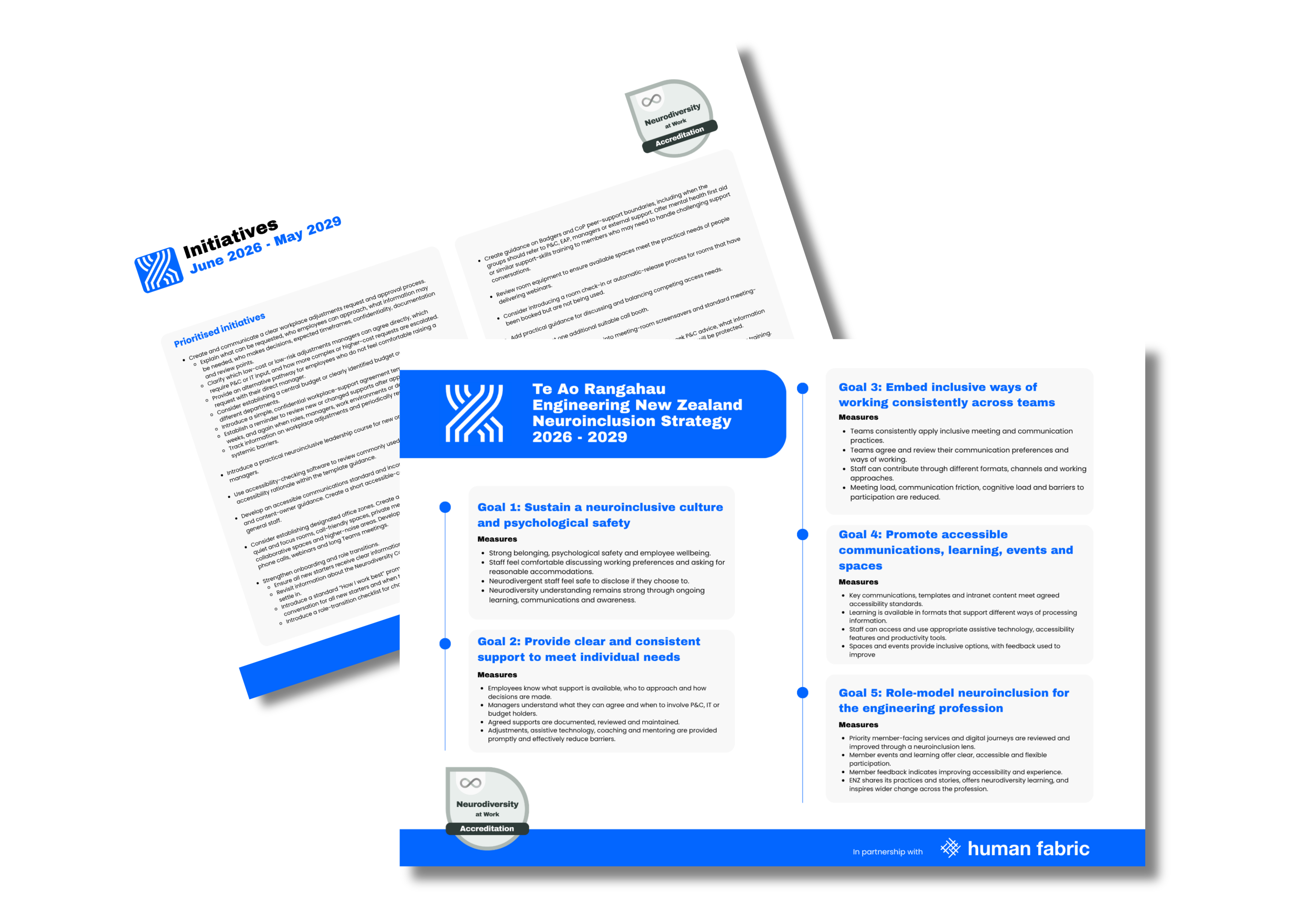 An example of the Neuroinclusion Strategy and Plan
