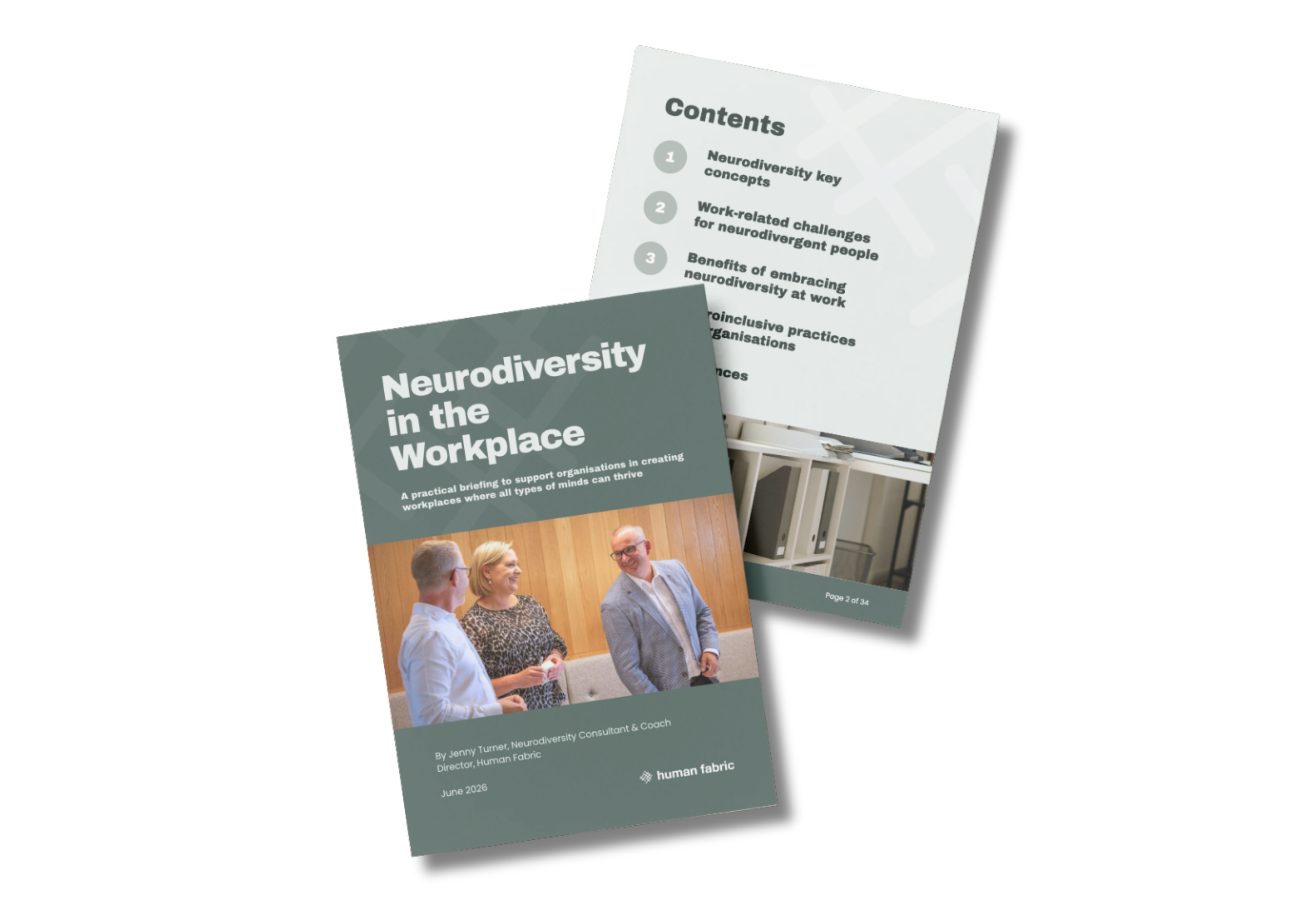 The Neurodiversity in the Workplace reference booklet